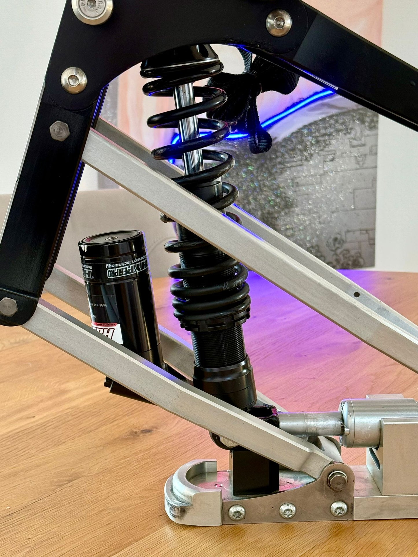 Monoski Bullet von Alois Praschberger