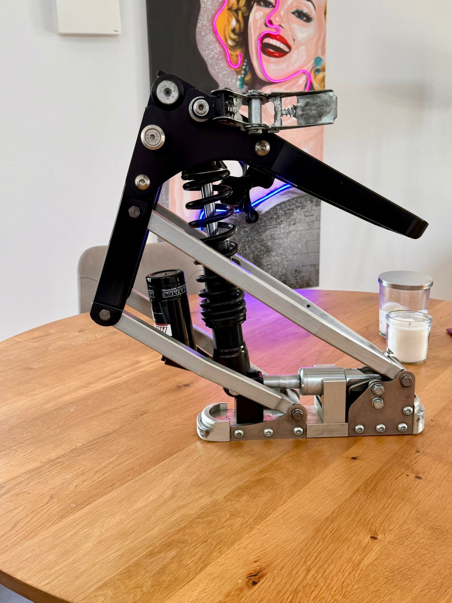 Monoski Bullet von Alois Praschberger