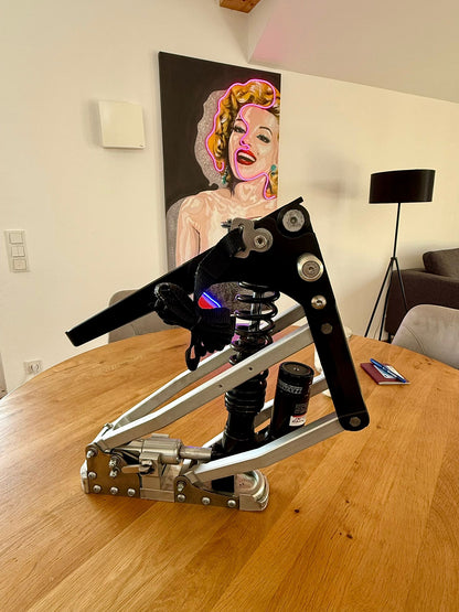 Monoski Bullet von Alois Praschberger